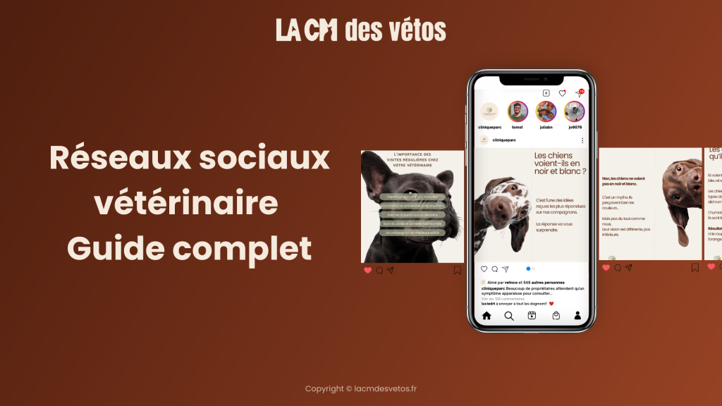 Réseaux sociaux et cliniques vétérinaires : guide complet 2026
