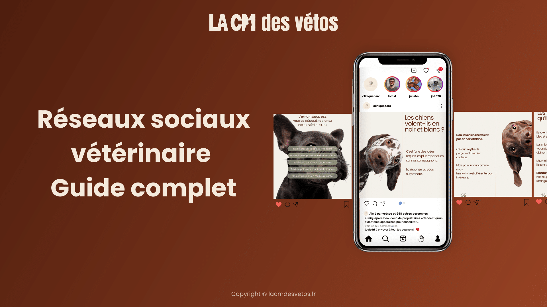 Réseaux sociaux et cliniques vétérinaires : guide complet 2026