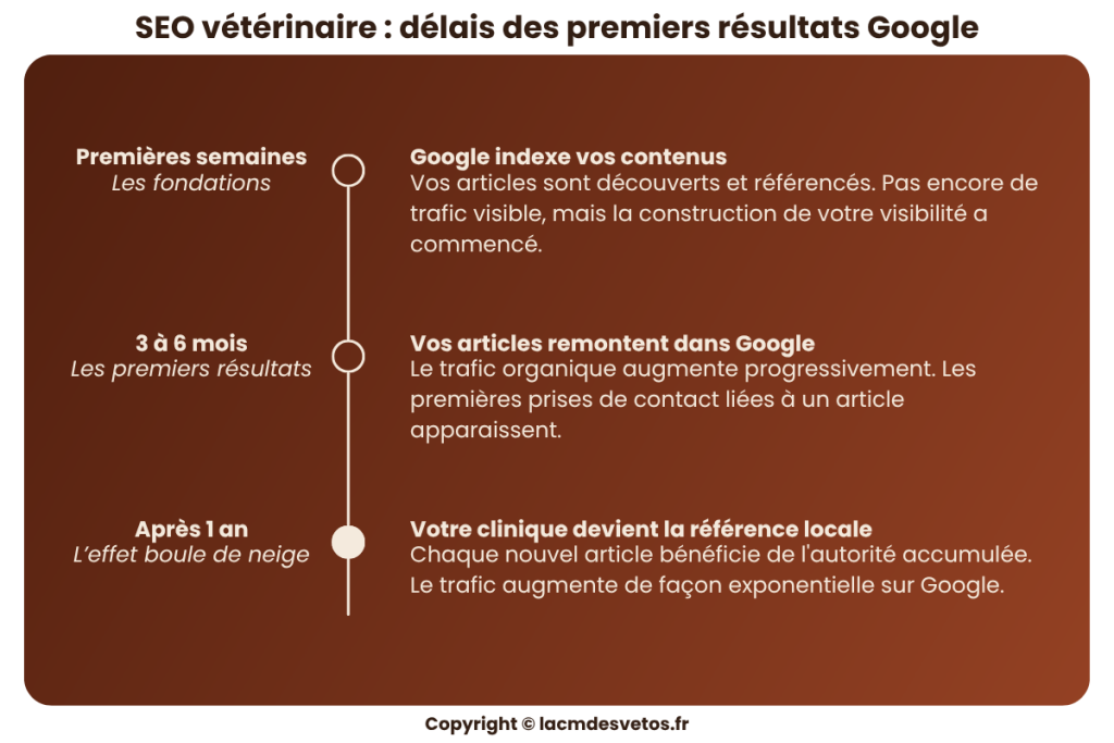 SEO vétérinaire montrant la progression du référencement d'une clinique, de l'indexation Google à lo visibilité locale